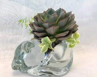 Cat glass planter/live succulent plants arrangement/garden/gift for her