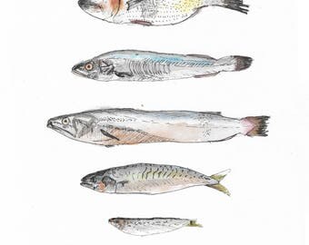 Fish Dish - Original Artwork - Ink and Watercolour Illustration