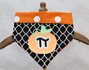 Pumpkin "Pie" Fall & Halloween Dog Bandana