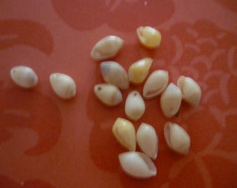 16 white 11 mm x 6 mm drilled snail shells