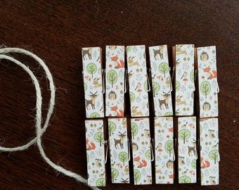Woodland Creatures Baby Shower -Fox, Deer, Bunnies, Hedgehogs - Chunky Little Clothespin Clips w Twine for Display - Set of 12 - Boy Girl -