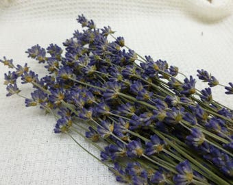 Dried Lavender Bunch Bouquet Tied with Jute Cord 10" - 2017 Crop - 1 ounce Dried Herb Wedding Craft Supply Lavendar Scented 150+ Stems