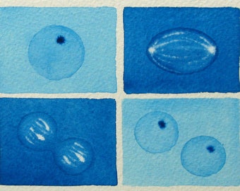 Blue Mini Mitosis - original watercolor - cell cycle