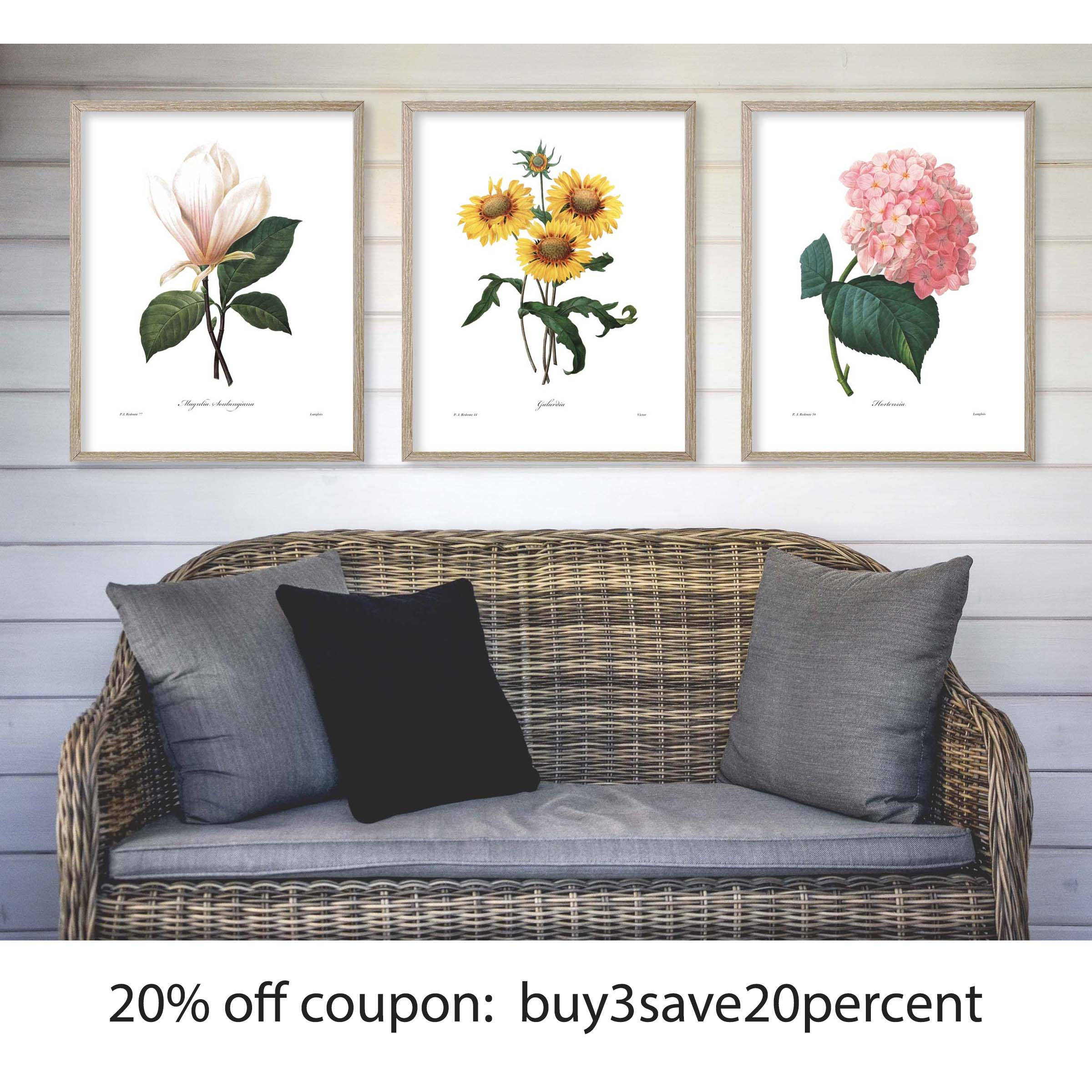 French Country Botanical Print Kitchen Art Fruit Wall Decor