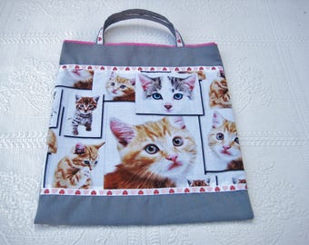 Library for kindergarten, theme cats bag
