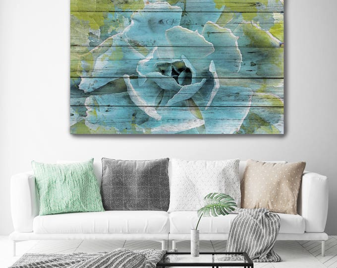 Frosted Green Succulent. Blue Green Succulent Canvas Art Print, Succulent Painted on Wood Plank Extra Large Canvas Art Print up to 72"
