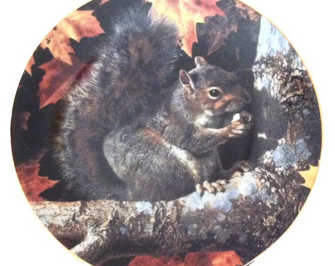 Rustic Wall Art, Gray Squirrel, Woodland Friends, Collector Plate by Carl Brenders, Gift For Christmas