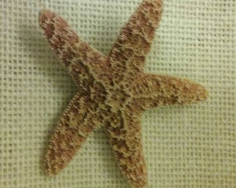 Starfish Barrette, Beach Wedding Hair Accessory, Flower Girl, Bridesmaid, Bridal, Destination Wedding, Mermaid Costume
