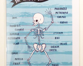 Anatomy Greetings Cards - Brain, Skeleton or Heart