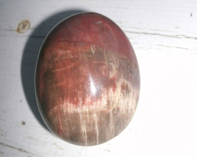 Polished Petrified Wood lovely grain, 121g or 4.3 oz., red/brown, palm stone, display specimen, metaphysical, meditation, crystal healing
