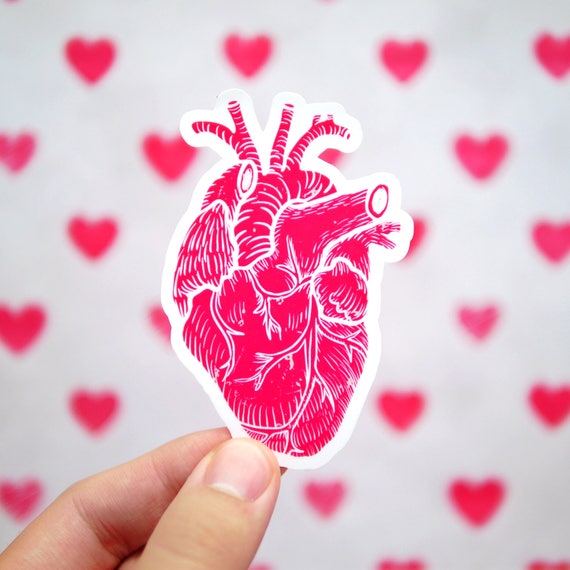 Anatomy Heart Vinyl Sticker Heart Laptop Sticker Heart Car