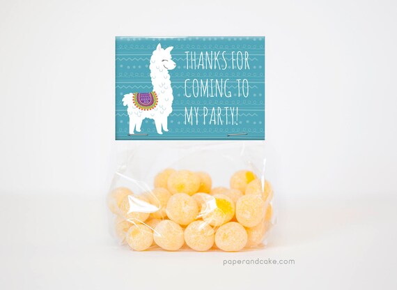 Alpaca | Llama Birthday Party Favor Kit for 12 >> shipped to you | Paper and Cake Il_570xn