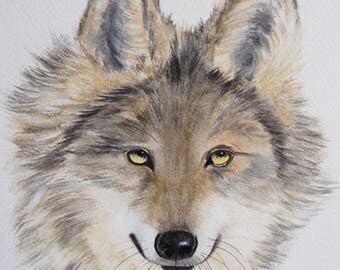 loup, animaux, art animalier, art, dessin animalier, aquarelle originale signée