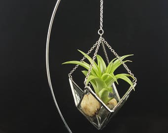 Beveled Stained Glass Air Plant Holder