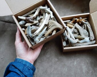 Small driftwood pieces Natural driftwood for crafts Driftwood bulk