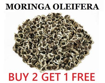 Moringa Seeds