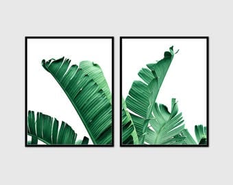 Banana leaf print. Set of 2 art print.