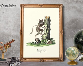 biology art decor rabbit wall art animal print small animal print old - Small Animal Pictures To Print biology art decor rabbit wall art animal print small animal print old - Small Animal Pictures To Print