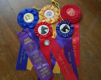 1950's and 1960's Horse Show ribbons