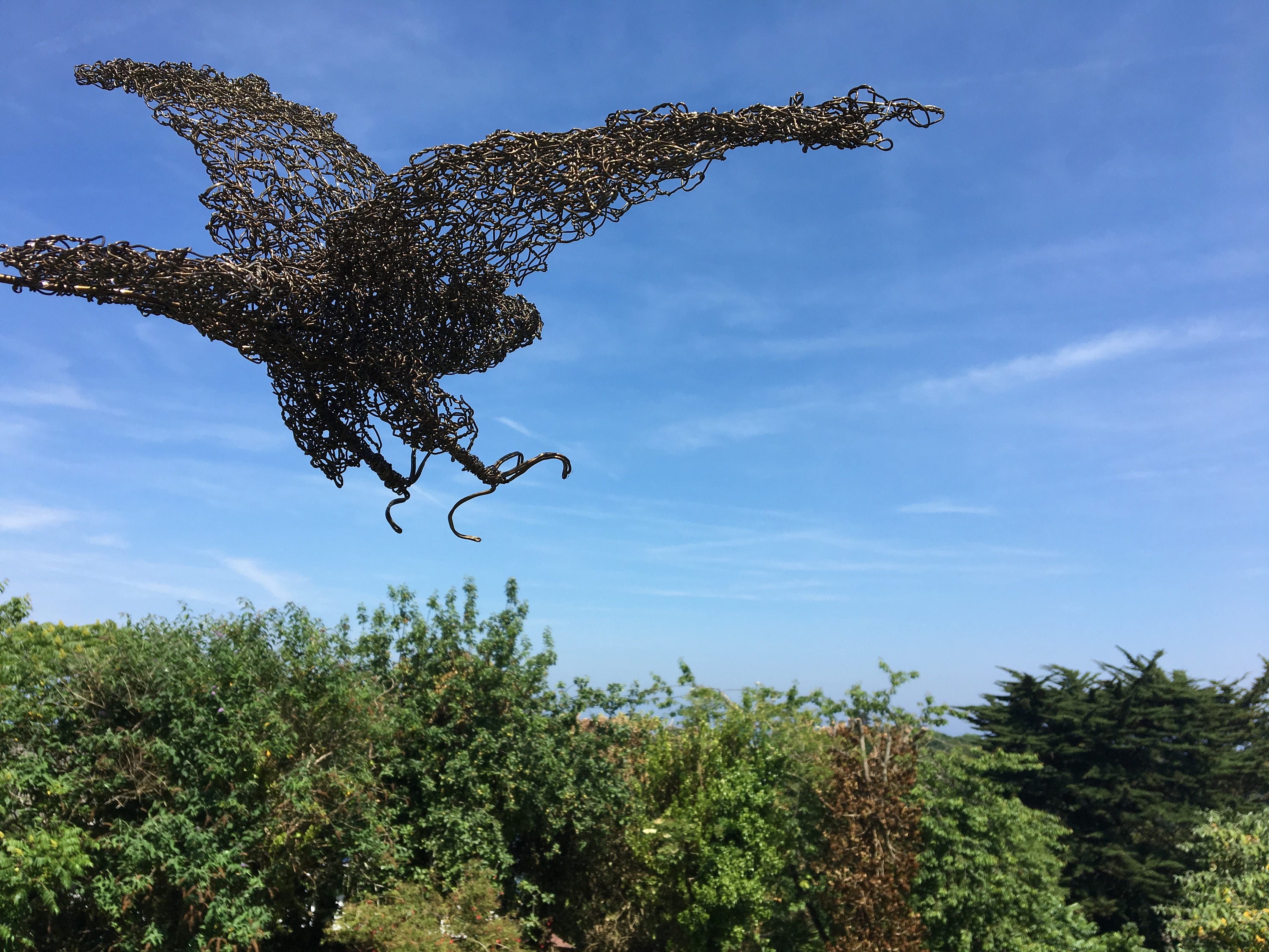 Wire sculpture sparrow hawk. Metal garden sculpture. Bird