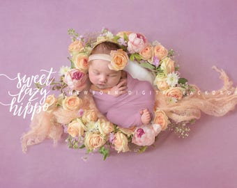 Newborn Digital Background for Girls. Flower Nest. Fresh roses.