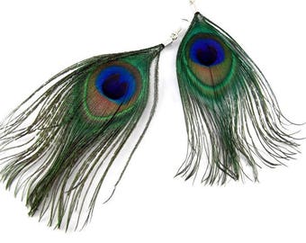 Earrings - peacock feathers