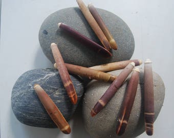 Hole pencil Urchin spines