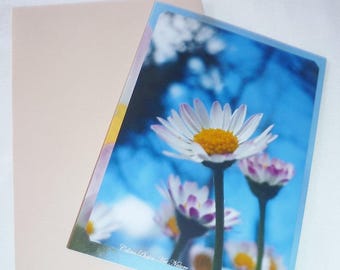 Double 10 5x15cm made from a picture of Daisies "Poetry des Prés" Meadowsweet flowers