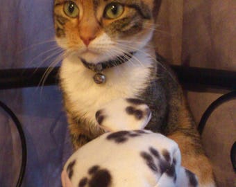 White and green mouse cat