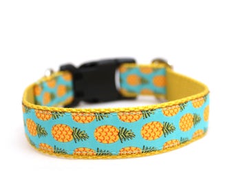 1" Pineapple buckle or martingale dog collar