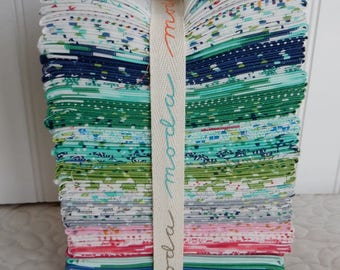 Color Me Happy by V&Co for Moda Fabrics Fat Quarter Bundle