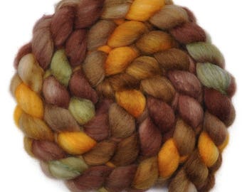Hand painted roving - Silk / BFL wool 25/75% spinning fiber - 4.1 ounces - Rascal's Eye 1