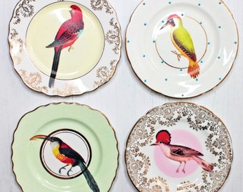 Beautiful Birds plate set