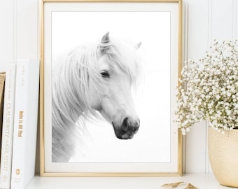 White Horse Photo Print, Black and white photography sign, Modern Minimalist Animal poster, Horse wall art 8x10 and 11x14, DIGITAL FILES