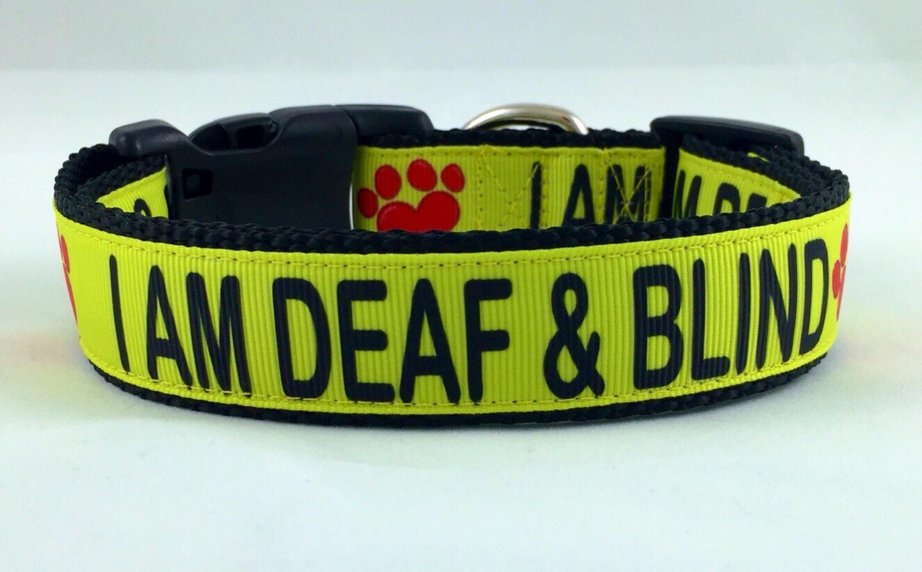 I AM DEAF & BLIND Dog Collar and Leash Set 1 wide