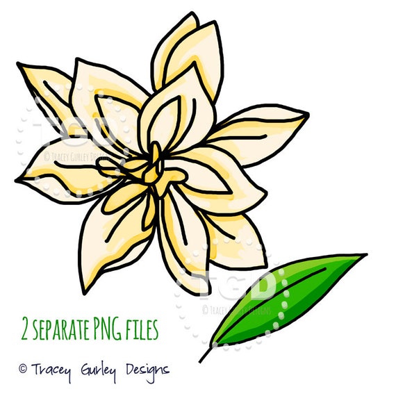 Gardenia Clip Art floral clipart line art digital clip art