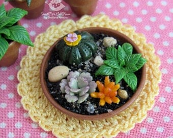Miniature cactus and succulents in the pot. Mini Cacti. Garden. Succulents. Dollhouse Plant. The Fairy garden. Accessory