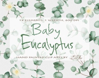 Eucalyptus Clipart Baby Blue Spiral Greenery Clip Art Watercolor Wedding Invitation Illustration Clipart Leaves Handpainted Baby Eucalyptus