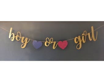 Boy or girl banner, boy or girl sign, gender reveal decor, gender reveal decorations, gender reveal party decor, gender reveal banner,