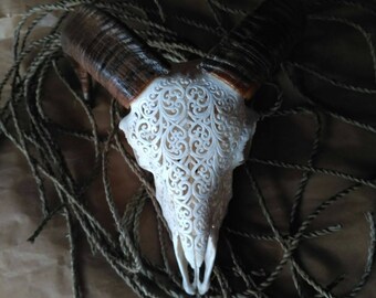 real ram skull carving with sebun kedis design