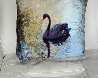 16x16 Indoor Throw Pillow Cushion Cover featuring an