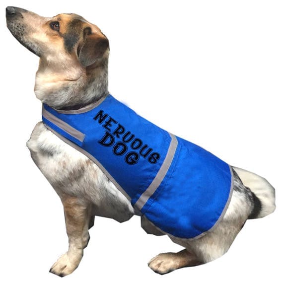 NERVOUS DOG High Visibility Vest