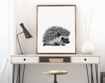 Hedgehog poster | Etsy