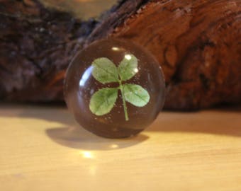 Real Four Leaf Clover in resin