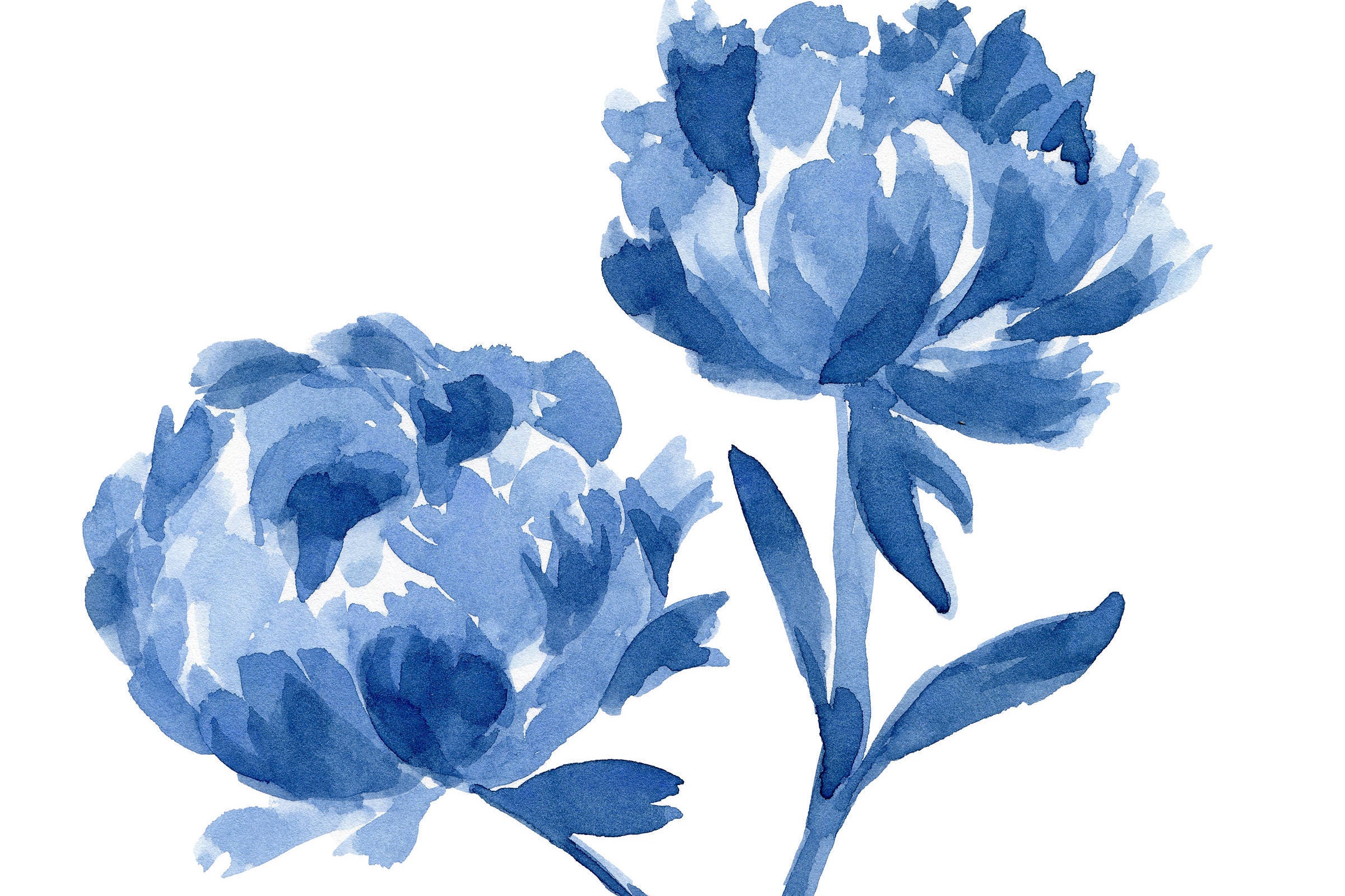  Blue  Peony Flowers  Set 4 Abstract  Peonies Watercolor 