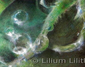 Pastel. Morning dew