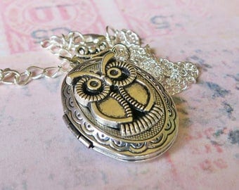 Owl Locket Necklace, Silver Owl Pendant, Harry Potter Inspired Locket, Hedwig Owl Necklace, Nite Owl Locket, Great Owl, Snowy Owl Necklace
