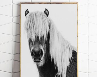 Horse wall art | Etsy