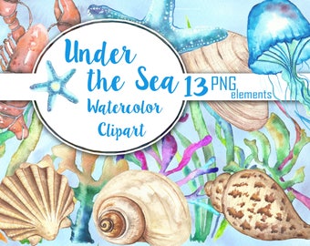 Sea shells watercolor clipart, Under the sea clip art watercolor. Shells jellyfish sea star clipart.