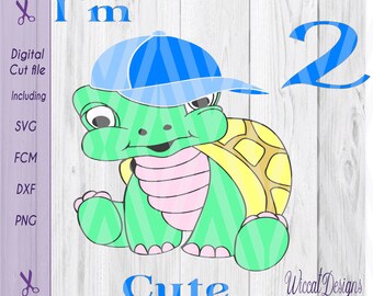 Turtle svg, boy svg, birthday svg, two svg, Turtle dxf, kids image svg, kids svg, digital cut file, scanncut file, boys t shirt designs
